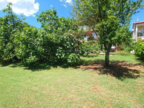 Apartments Josip 74