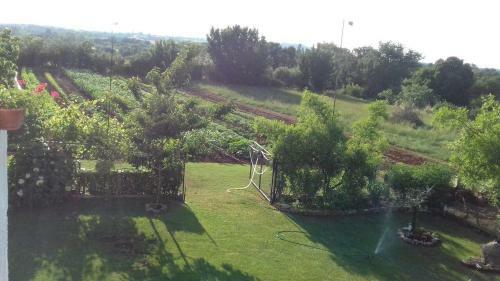 Hostal Lovley Rural Apartment With Garden