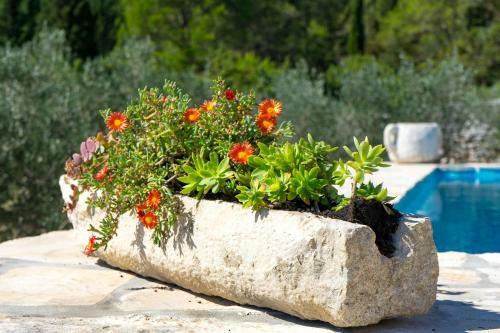 Fig Tree Villa - Korcula