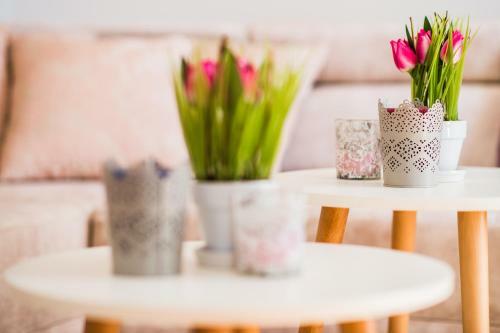 Split Beach Lux Apartment