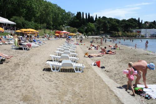 A1 - Apartment In The Very Heart Of Split