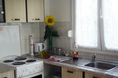 Apartment Ana