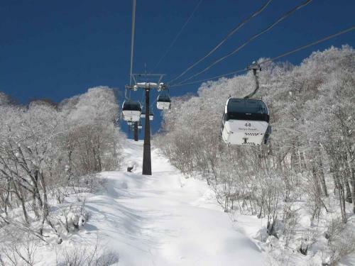 Hakuba Park Hotel