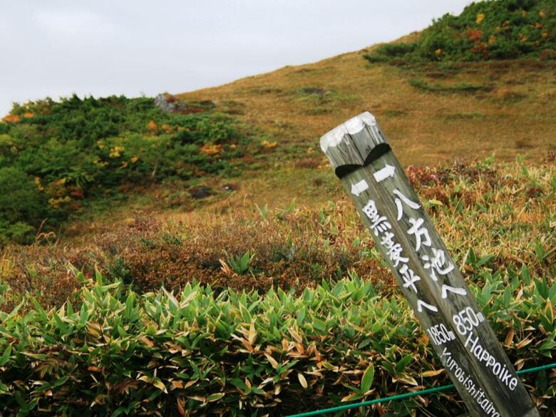 Hakuba High Mount Hotel