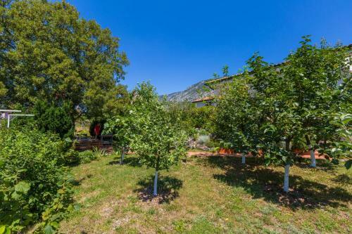 Apartamentos Ivanka - Tribalj