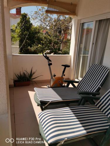 Vila Businci Apartment Silva A5