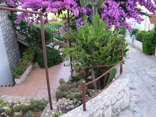Apartments Katica