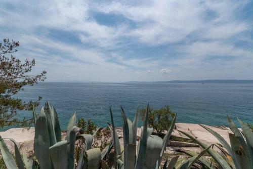 Apartamentos Daniela - Amazing Sea View