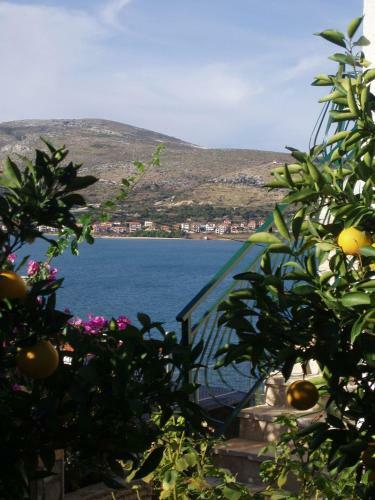 Apartments Anda - Sea View