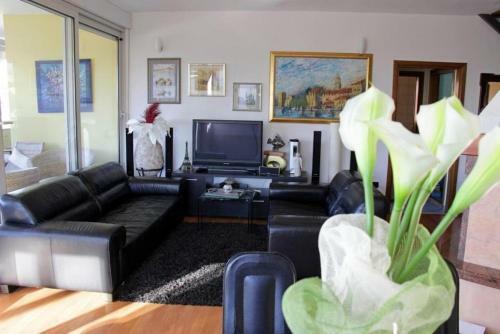 Apartments Babe - 20m From Sea