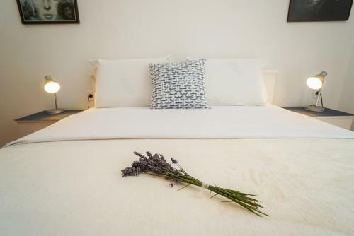 Hostal Apartments Maslina