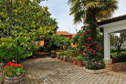 Hostal Haus Liliana