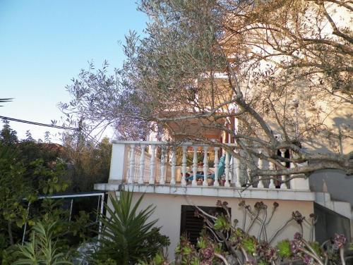 Apartments Franica