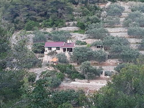 Stone House Oreb