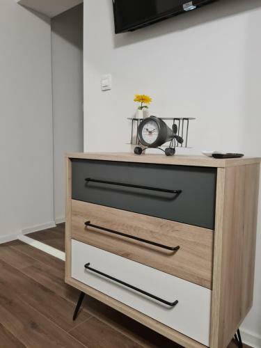 Boutique Apartments Nikola Tesla