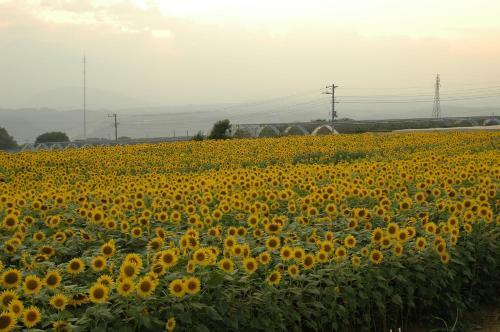 Hotel Hatta