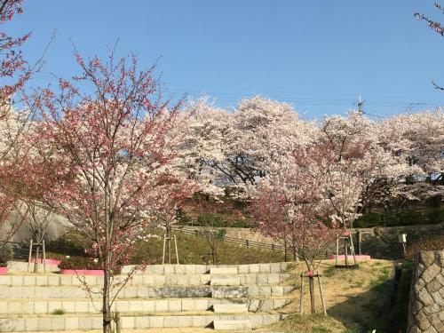 Hotel Senkoji Sanso