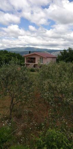 Villa Elizabeta Near Imotski, Private Pool