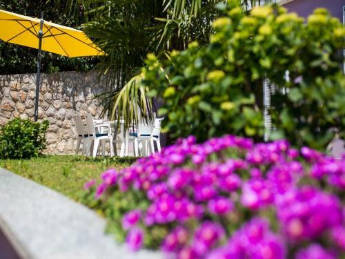 Apartments Villa Dream