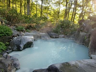 Tsubame Highland Lodge