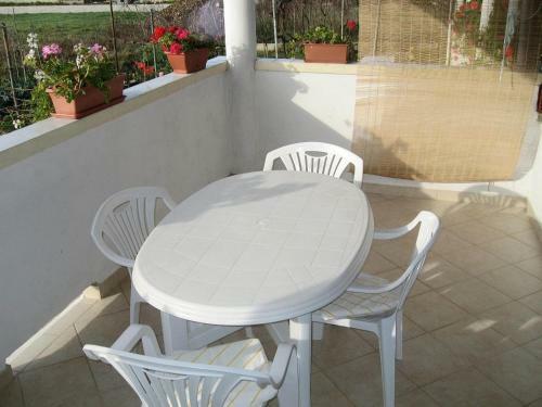 Apartments Kuzma - Afordable