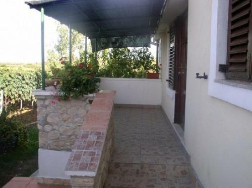 Apartments Kuzma - Afordable