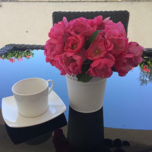 Apartment In Nin With Terrace, Air Condition, Wifi (4732-2)