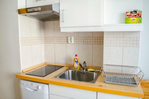 Apartment Gagarin