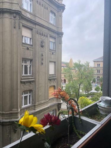 Bed & Breakfast Butterfly Home Danube