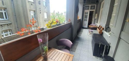 Bed & Breakfast Butterfly Home Danube