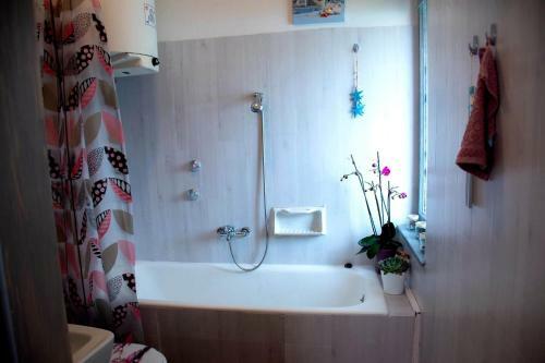 Vir�g Var�zs Vend�gh�z