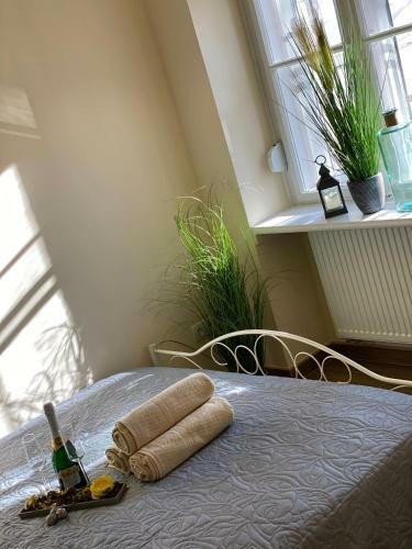 Pedal Apartman Szeged City