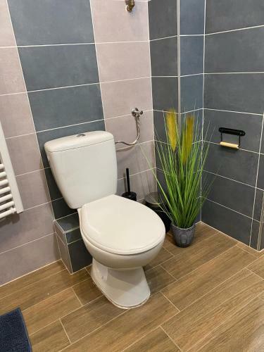 Pedal Apartman Szeged City
