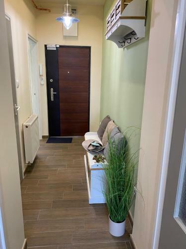 Pedal Apartman Szeged City