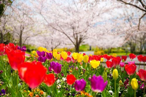 Hotel Tresta Shirayama