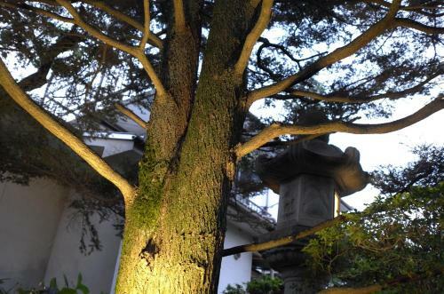 Apartamentos Oimatsuen