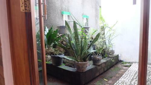 Villa 4 Kamar Full AC Dekat Alun-alun Kidul