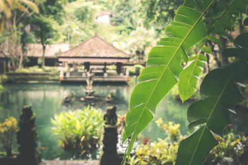 Beautiful Villa With Private Pool, Bali Villa 2049