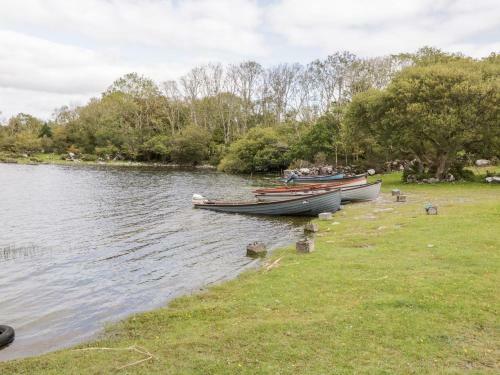 Lough Mask Road Fishing Cottage
