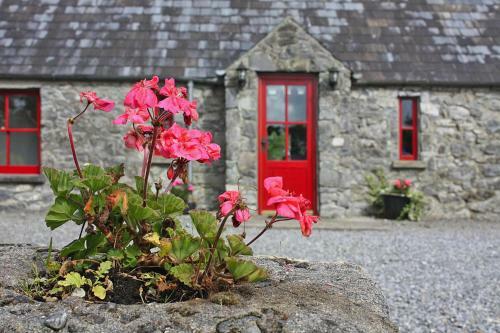 Holiday Homes Terryglass - Eir05043-fya