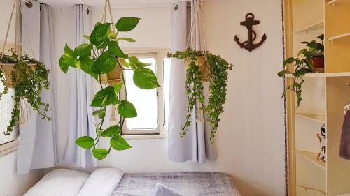 Apartamento Aharonson St. Studio - By Comfort Zone Tlv