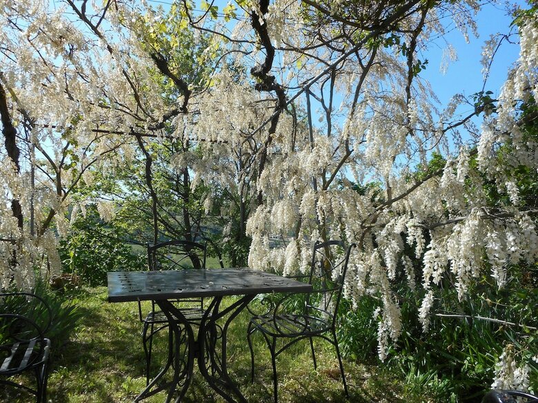 Agroturismo Agriturismo Cascina Serra