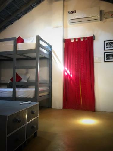 Craft Hostels