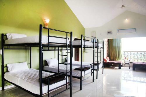 Albergue The Wild Flower Studios