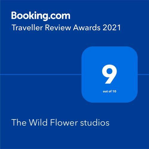 Albergue The Wild Flower Studios