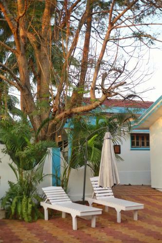 Birdsong, Anjuna (Managed By Hnh)