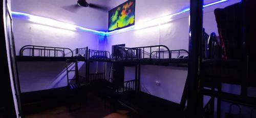Radical Times Hostel