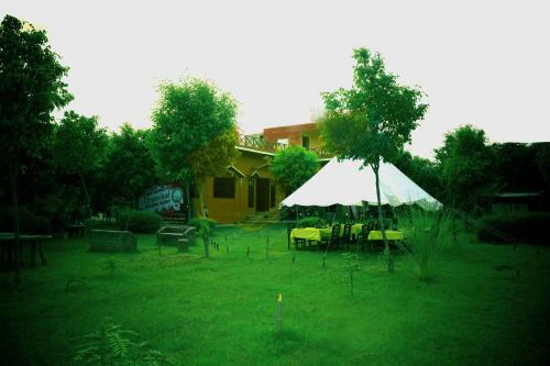 Hotel Chambal Wildlife S Lodge
