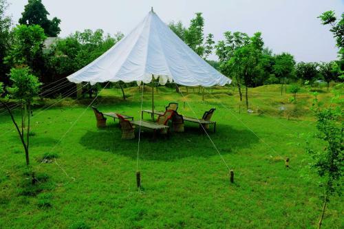 Hotel Chambal Wildlife S Lodge