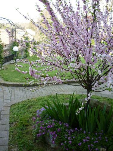 Bed And Breakfast Olimpia